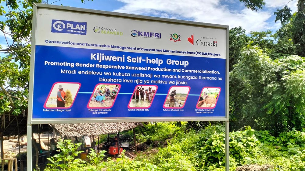 partnerships
